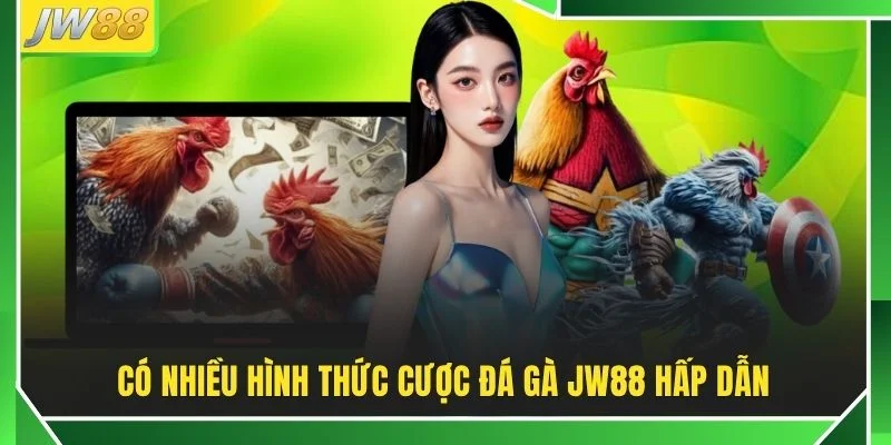 Đá Gà JW88 | Thể Lệ Và Thông Tin Cần Biết Khi Đặt Cược
