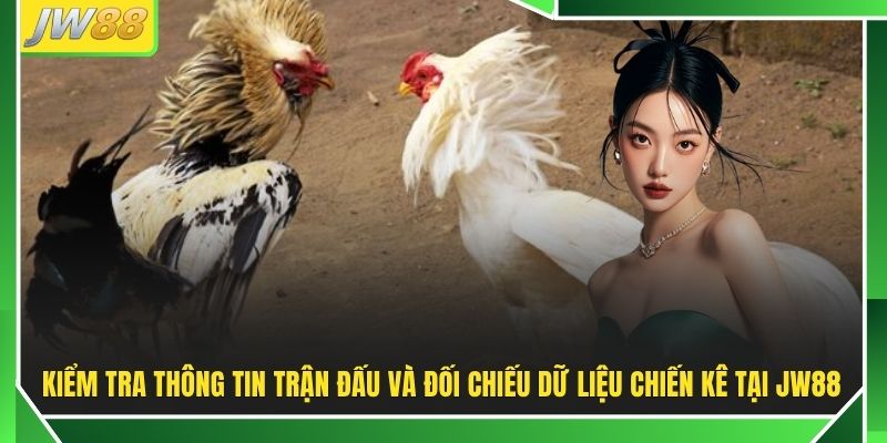 Tổng Hợp Cách Thắng Đá Gà JW88 90% Từ Cao Thủ Hàng Đầu